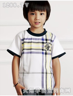 tS{(ln)2010br(sh)ͯb